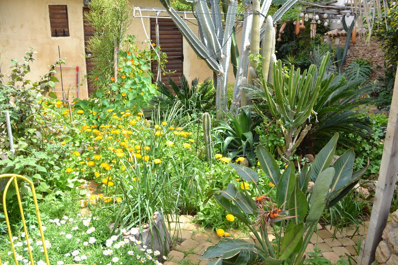 Mystery Garden Guest House Фамагуста Экстерьер фото