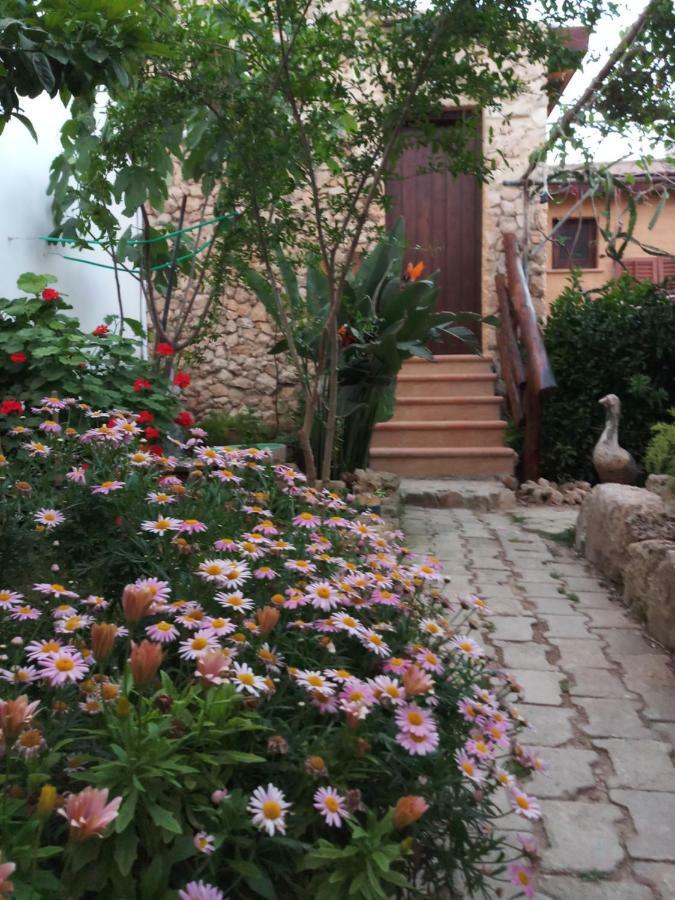Mystery Garden Guest House Фамагуста Экстерьер фото